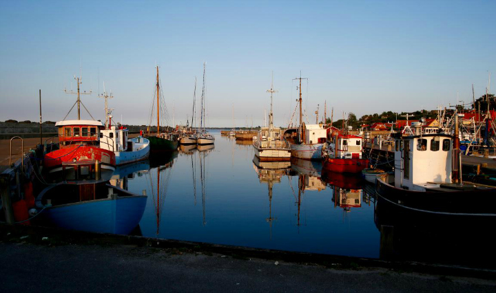 720 The harbor. Sjællands Odde