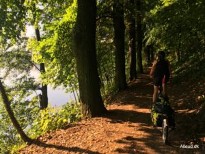 Elben cykelrute naturoplevelse natur