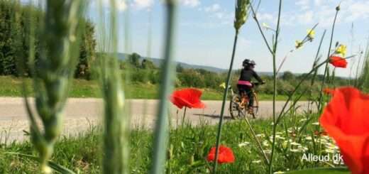 Cykelferie bæredygtig ferieform klimavenlig ferie