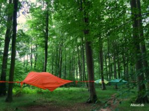 Flyvende telte flyvende telt skov overnat natur