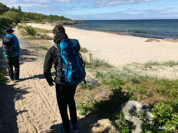 sandkås strand badestrand Bornholm