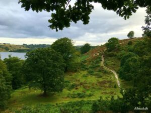 Hærvejen Cykelrute Dollerup bakker