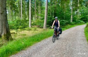 Hærvejen Cykelrute Cykeltur